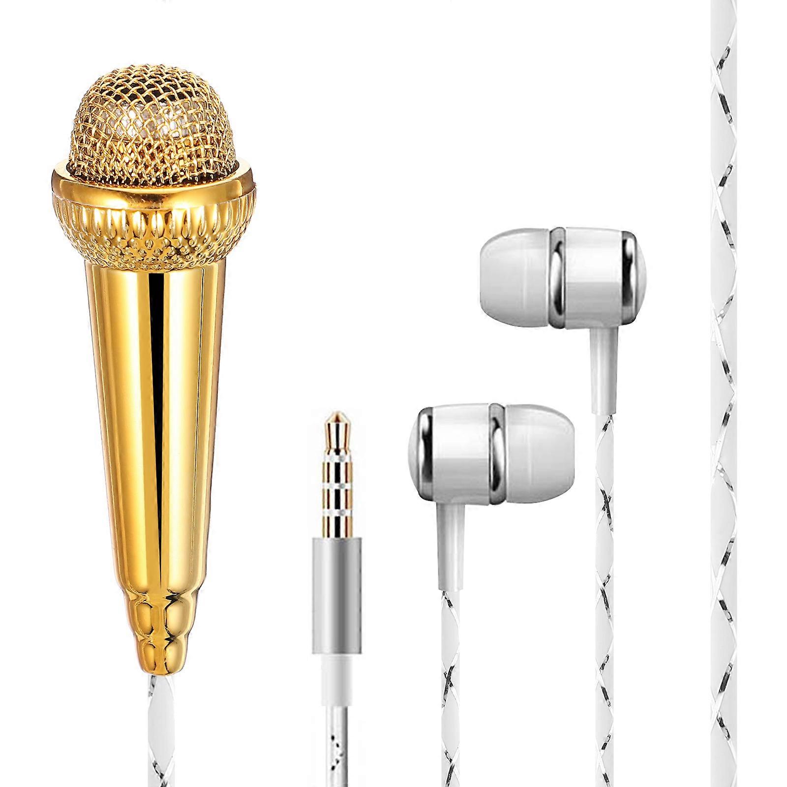 Microphone Portable Vocal Microphone Miniature Microphone for Voice Recording