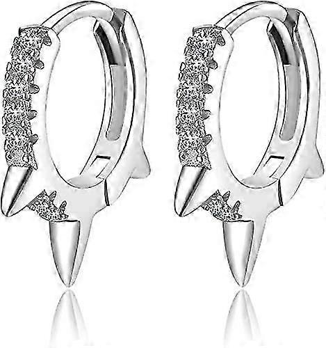 Hoop Earrings,Silver