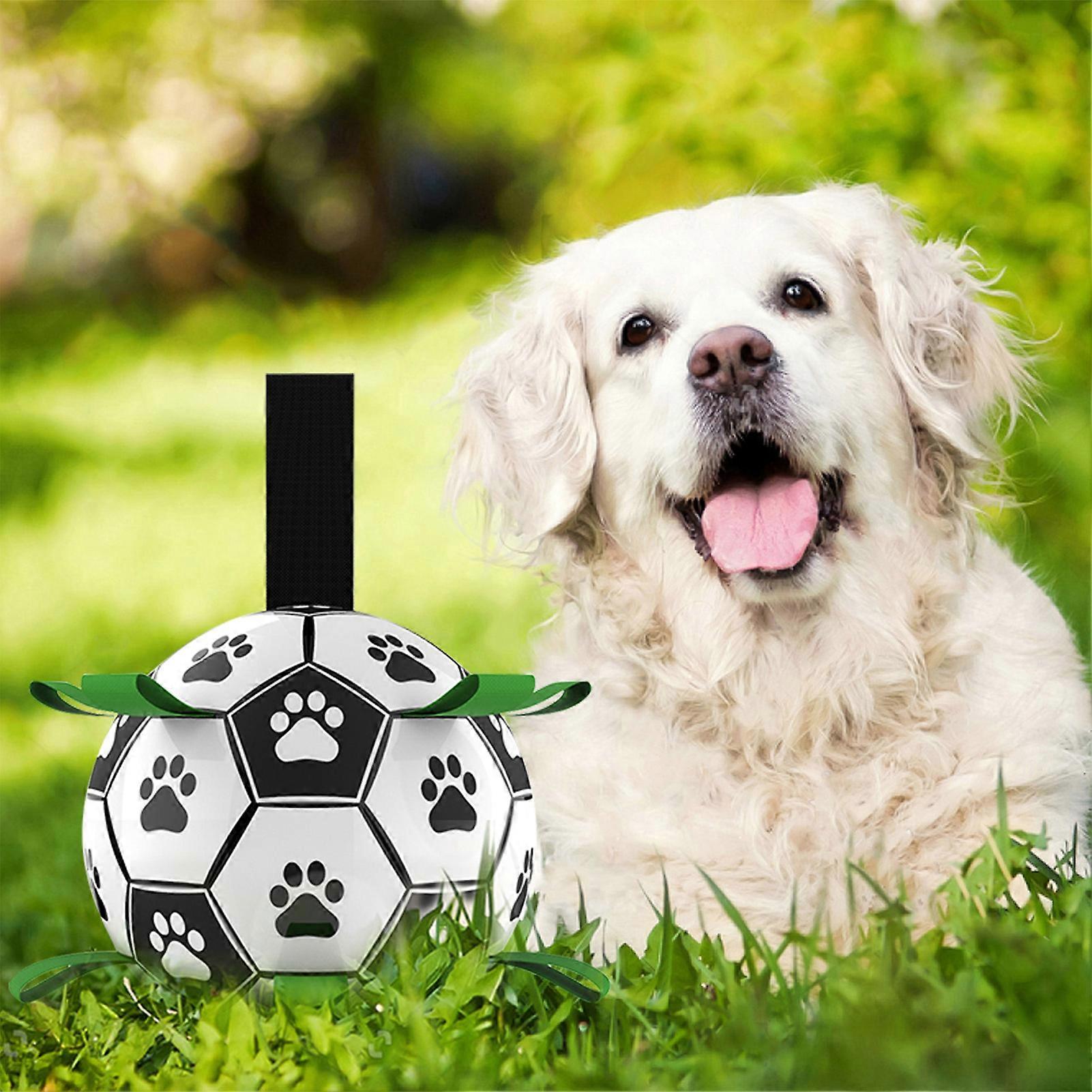 DADYPET Dog Soccer Ball with Grab Tabs Interactive Dog Toy with Ball Pump 6Inch Durable Dog Toy for Small Medium Dogs