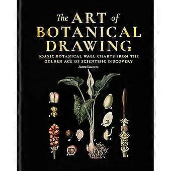 Kunst der botanischen Malerei : Ikonische botanische Wandkarten aus dem Goldenen Zeitalter der wissenschaftlichen Entdeckungen