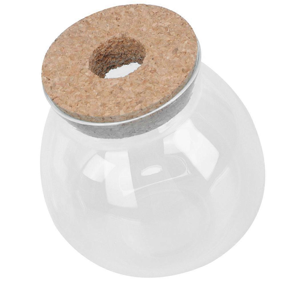 Glass Bottle for Moss Plant Container with 5Pcs Transparent Micro Landscape