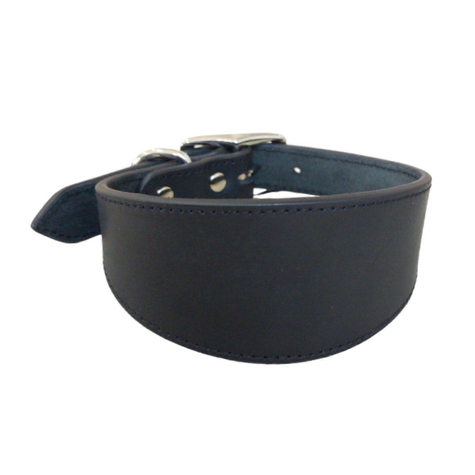 Leather Greyhound Collar with Soft Padding, Wide Whippet Collar for Large Sighthounds