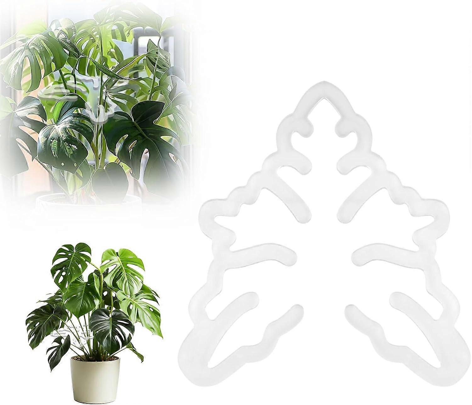 Plant Stem Support Set, Monstera Cracker Hooks