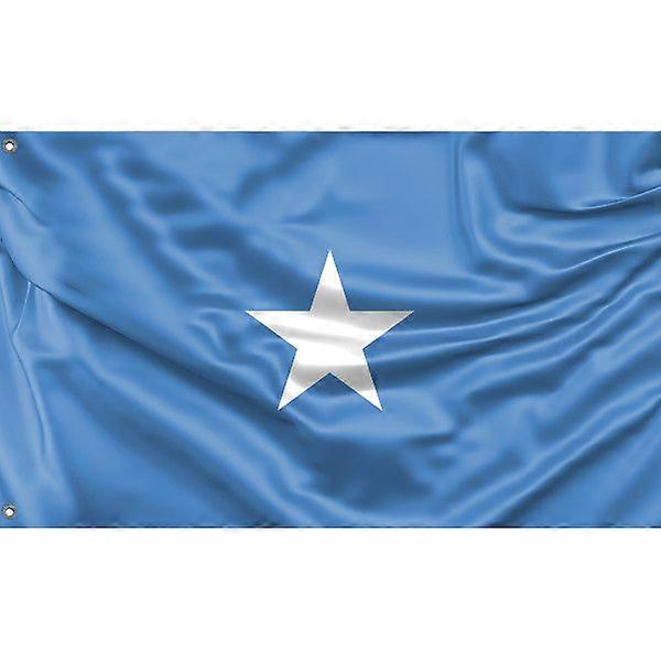 Somalische Flagge A2486