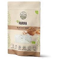 Organic White Wheat Flour 500 g