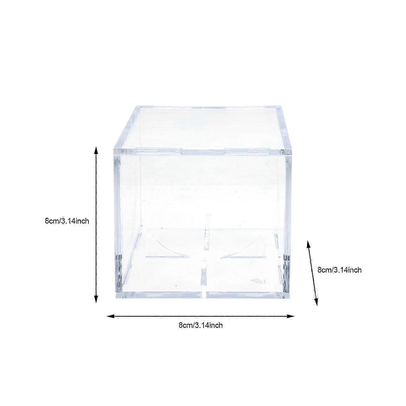 Decorative Baseball Box Household Baseball Holder Transparent Baseball Case Baseball Accessory