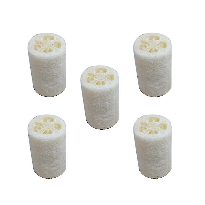 5pcs Body Scrubber