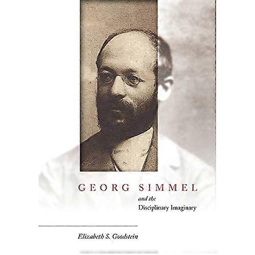 Georg Simmel and the Disciplinary Imaginary