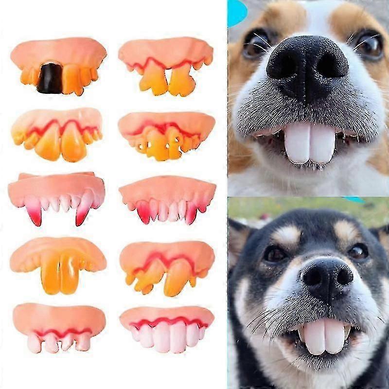 For False Teeth for Dogs and Pets - Funny Dentures