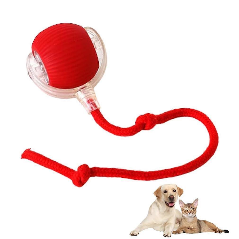 Doggocomfy Interactive Ball, 360 Degree Rolling Pet Toy with 3 Modes LED Light