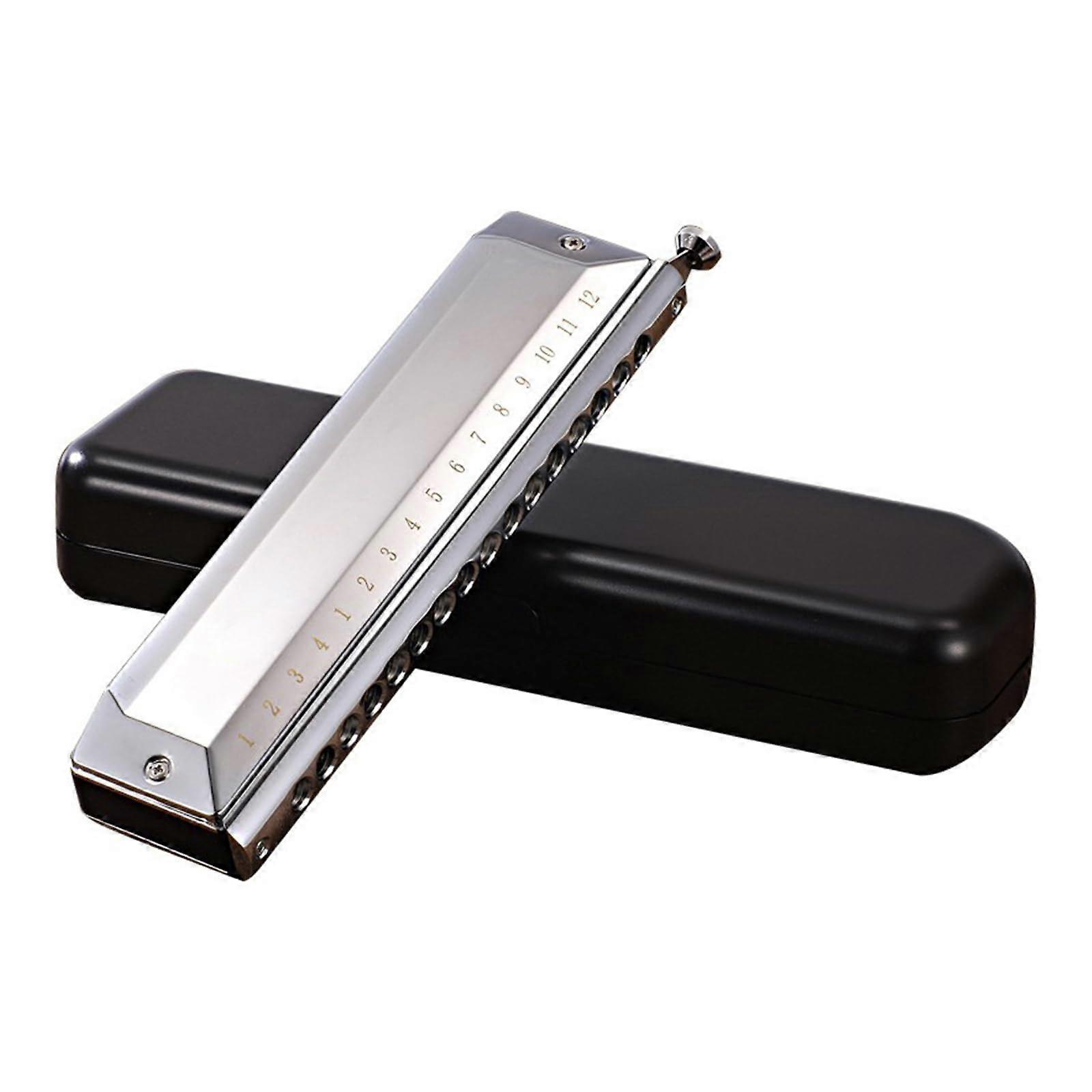 Harmonica In C Key, 16-Hole, 48-Note Diatonic, Silver, With Case For Professionals, Beginners, Students