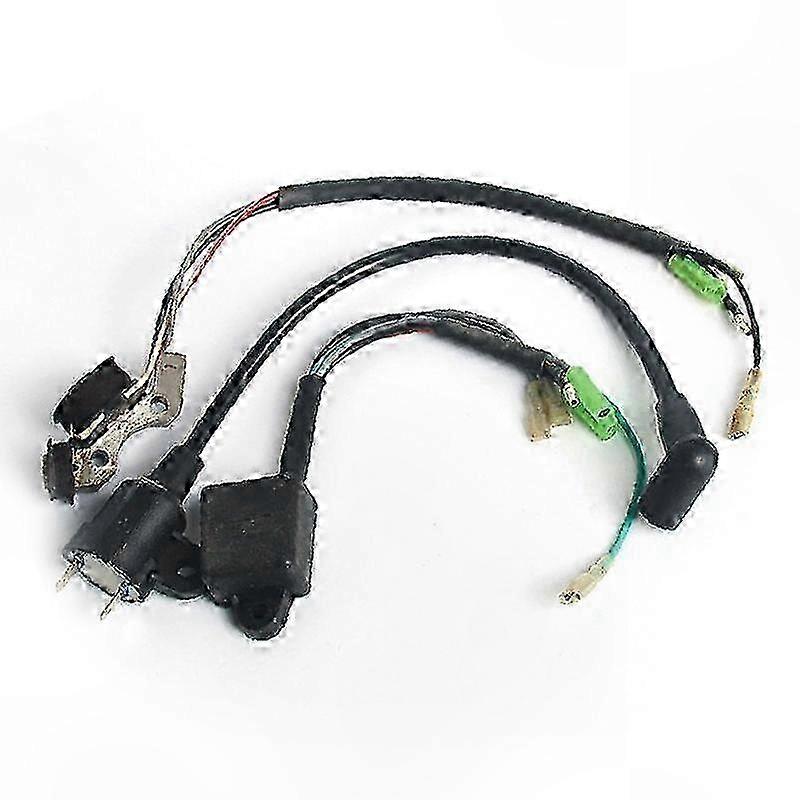 Ignition Coils and Igniters Set for 2-Stroke Generators 450W-1000W