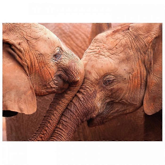 Lisa Hoffner Two Baby Elephants Print