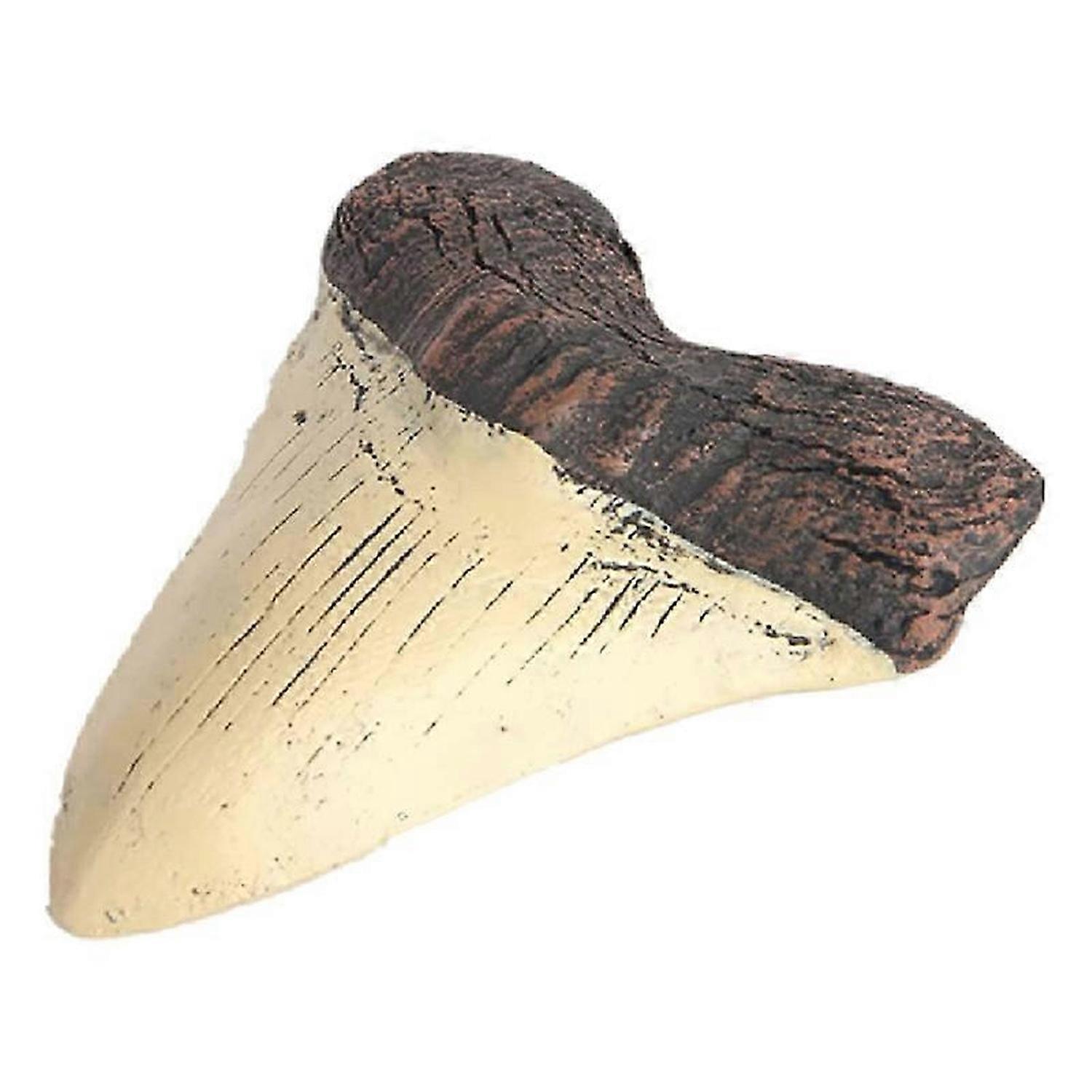 Megalodon Tooth Fossil Giant Megalodon Tooth Resin Replica