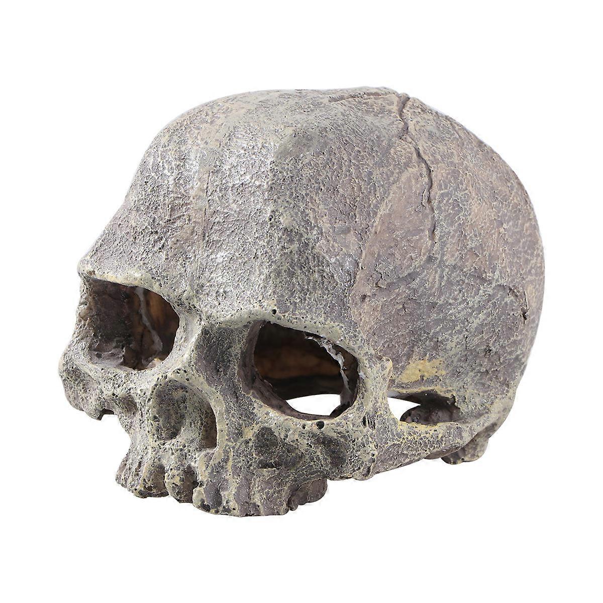 Decorative Terrarium Skull 3Pcs Provide Entertainment Venues For Pets In Fish Tanks Random Color Setup