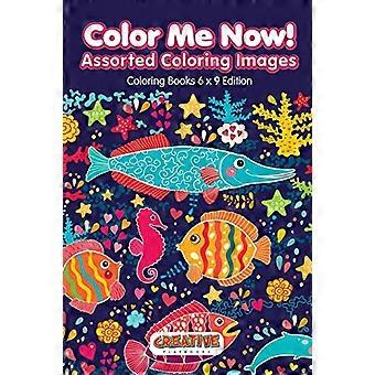 Color Me Now! Assorted Coloring Images-Coloring Books 6x9 Edition