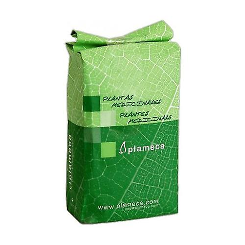 Thyme Whole Leaf Extra 1 kg