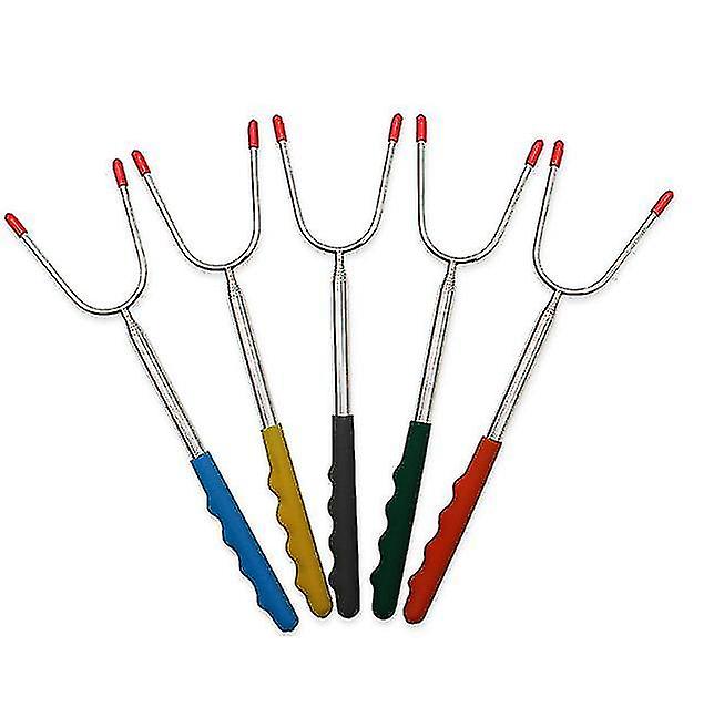 Food Sticks Skewers Roasting Sticks-set Of 5 Extendable Stainless Steel Skewers For Camping Grill A