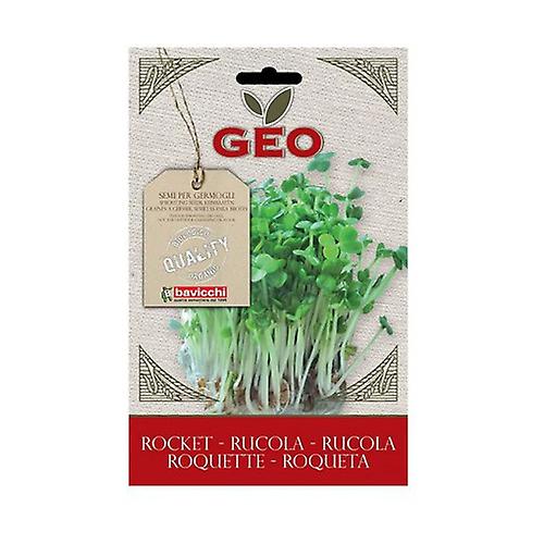 Arugula Seeds to Germinate 30 g