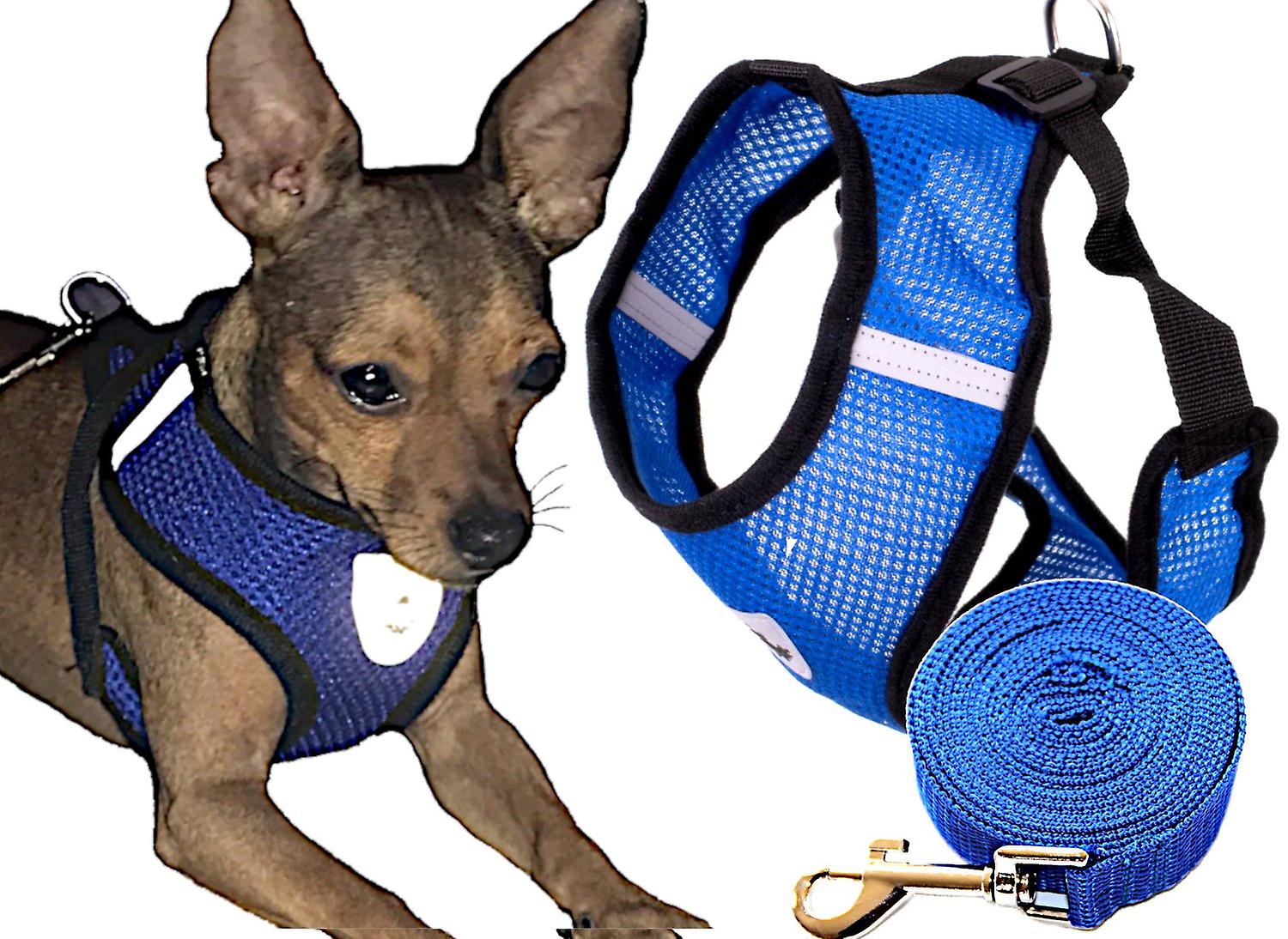 Arnés para perros sin tensión + correa XL