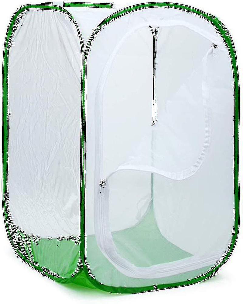 Big Large Foldable Butterfly Habitat Cage Terrarium, Insect And Net For Breeding Inserts