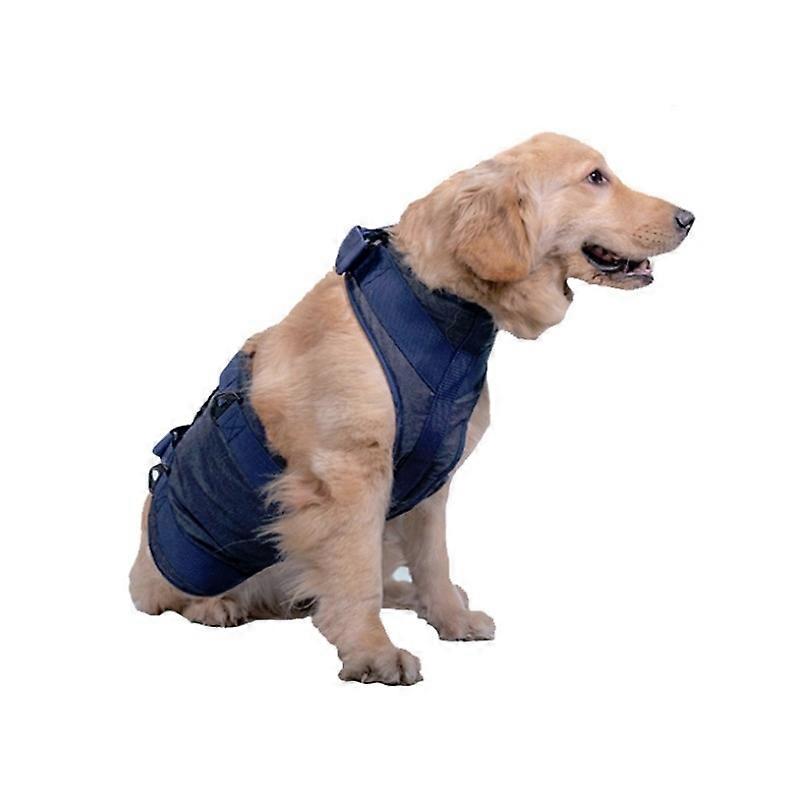 Old Dog Walking Harness, Size: XS