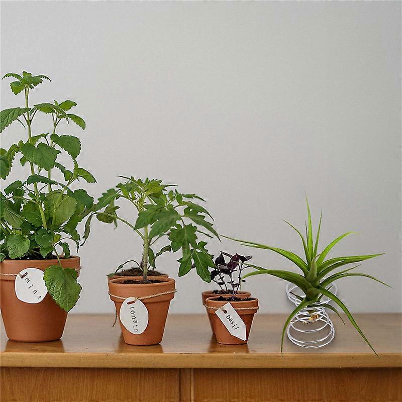 6 Pieces Air Plant Container Holder Stainless Steel Pineapple Base
