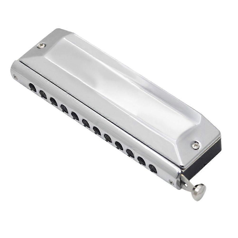Portable Harmonica Music Instrument for Beginner Students Musicians 12 Hole 48 Sound Silver 1Set