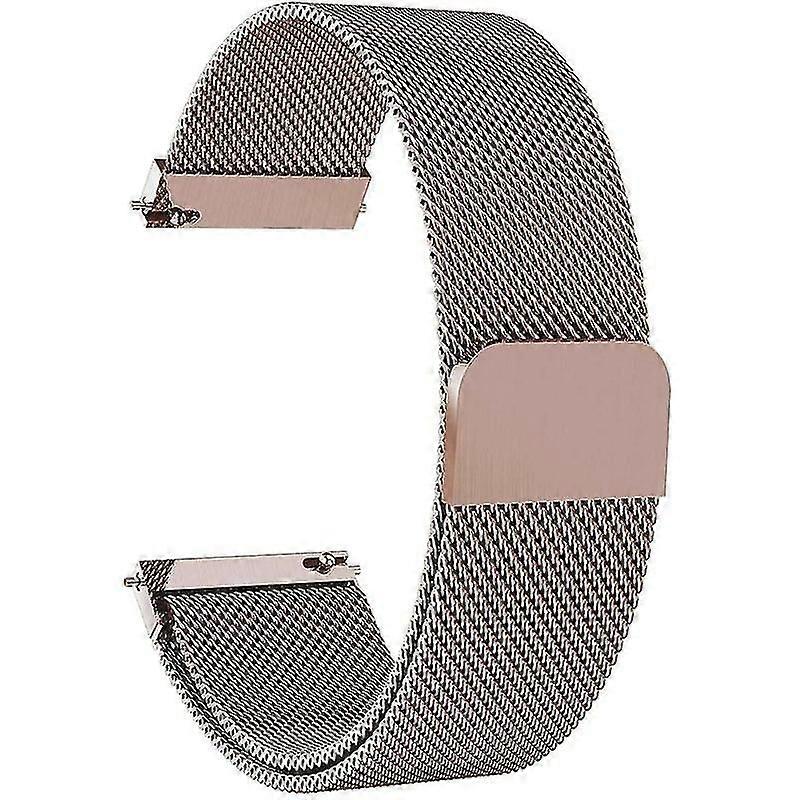 For Garmin Vivomove Style/garminmove Style Mesh Replacement Strap Magnetic Smart Watch Band (20mm)