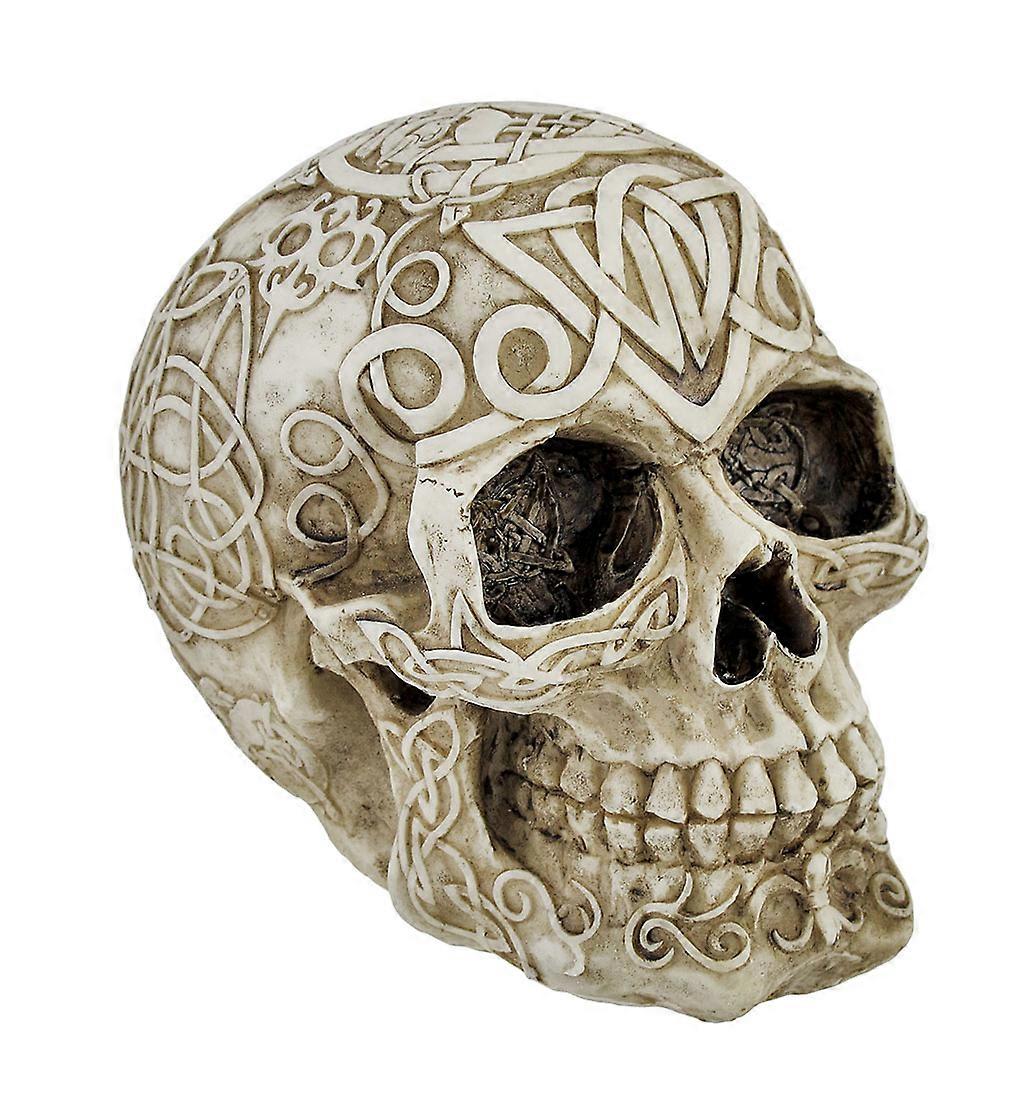 Celtic Owl Knotwork Human Skull Statue Pagan