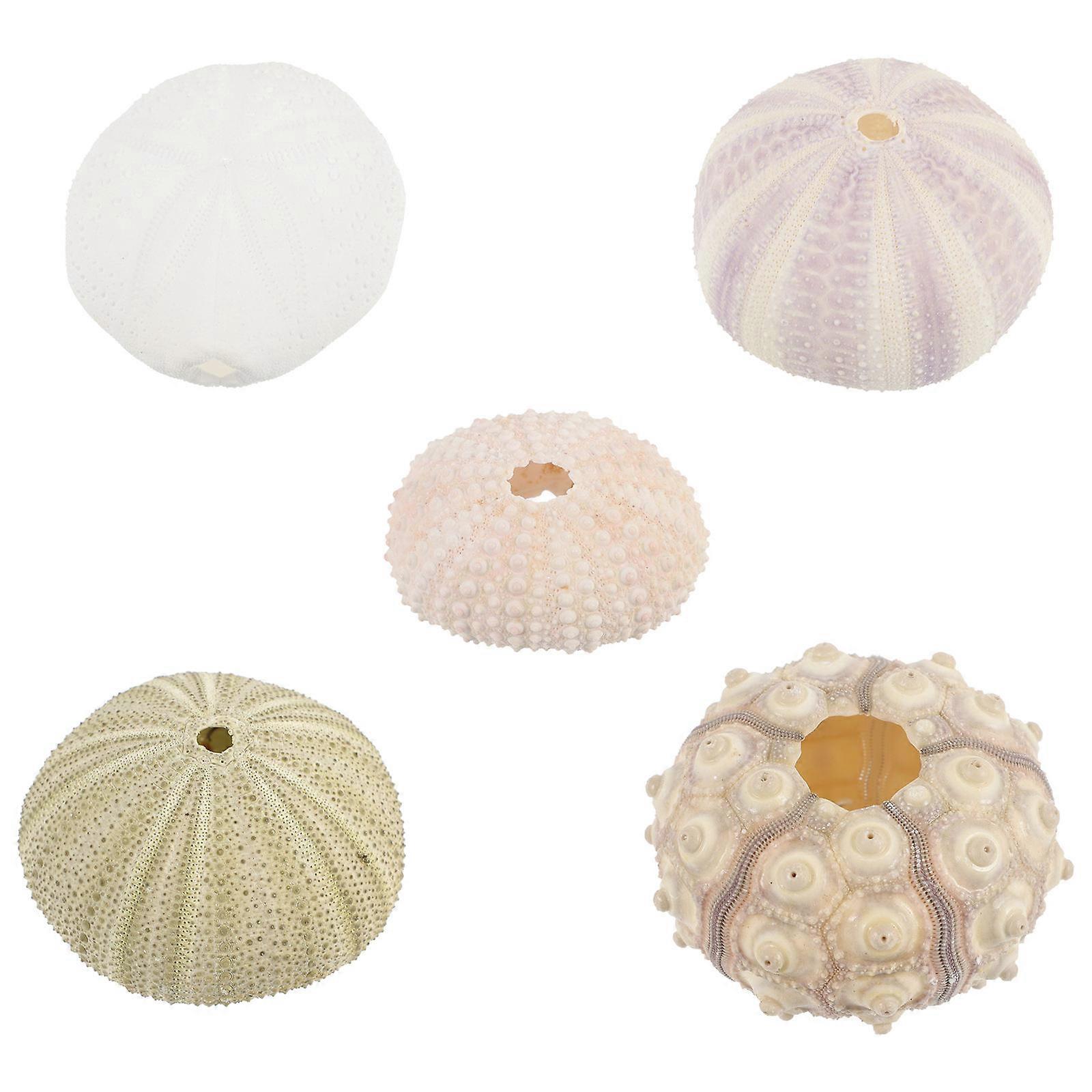 Handmade Sea Urchin Ornaments for Fish Tank Decor 15 Count Assorted