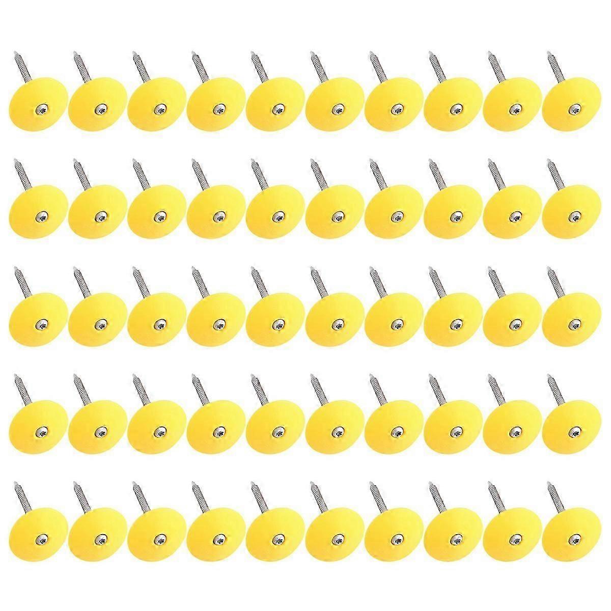 2Inch Plastic Round Cap Roofing Nails Galvanized Tar Paper Nails