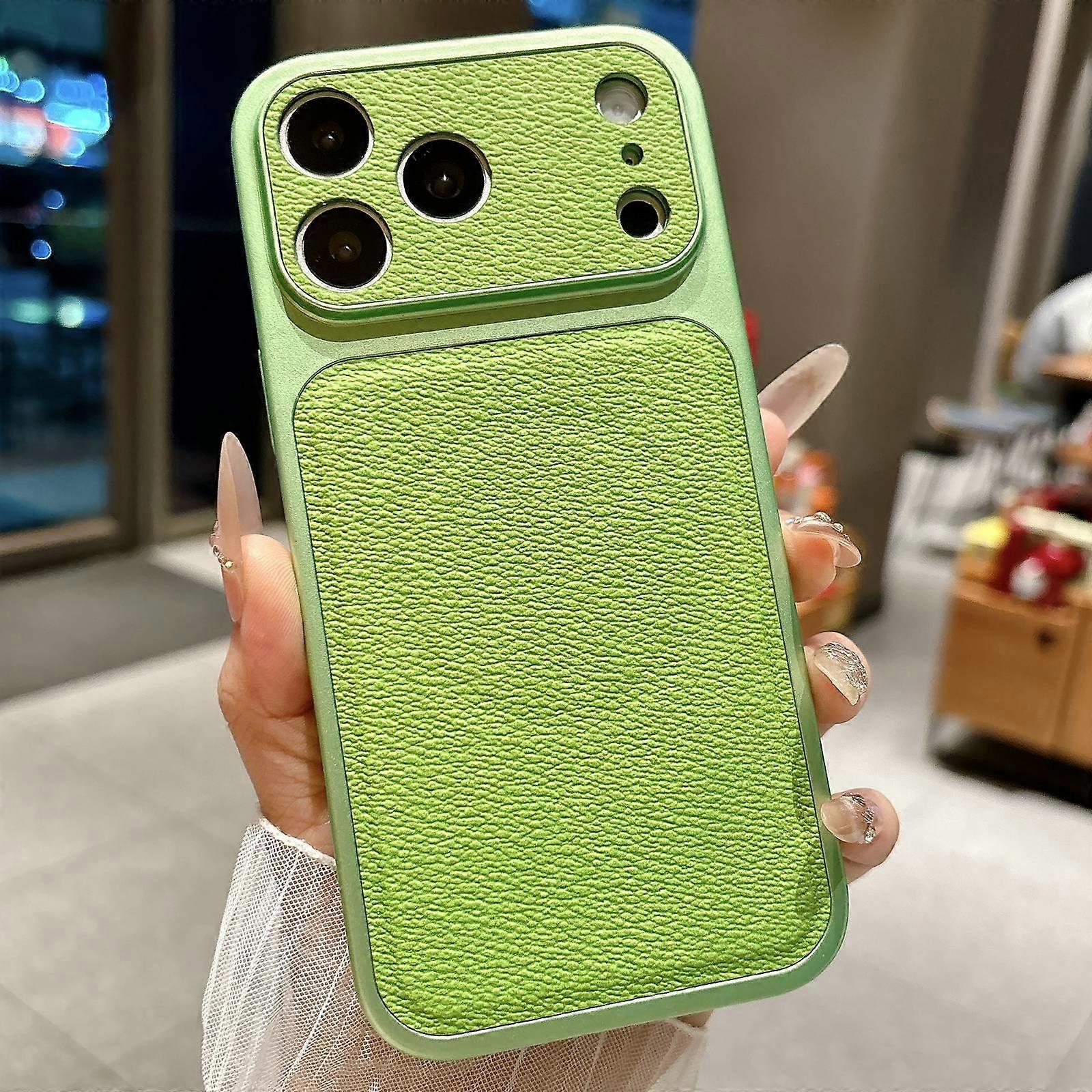 Transforms Into 17 Large Window Litchi Texture Magnetic Phone Case