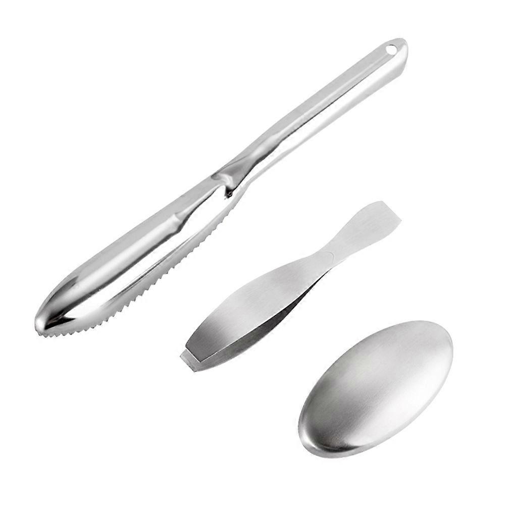 Stainless Steel Fish for Scale Removing 1Set Set Silver