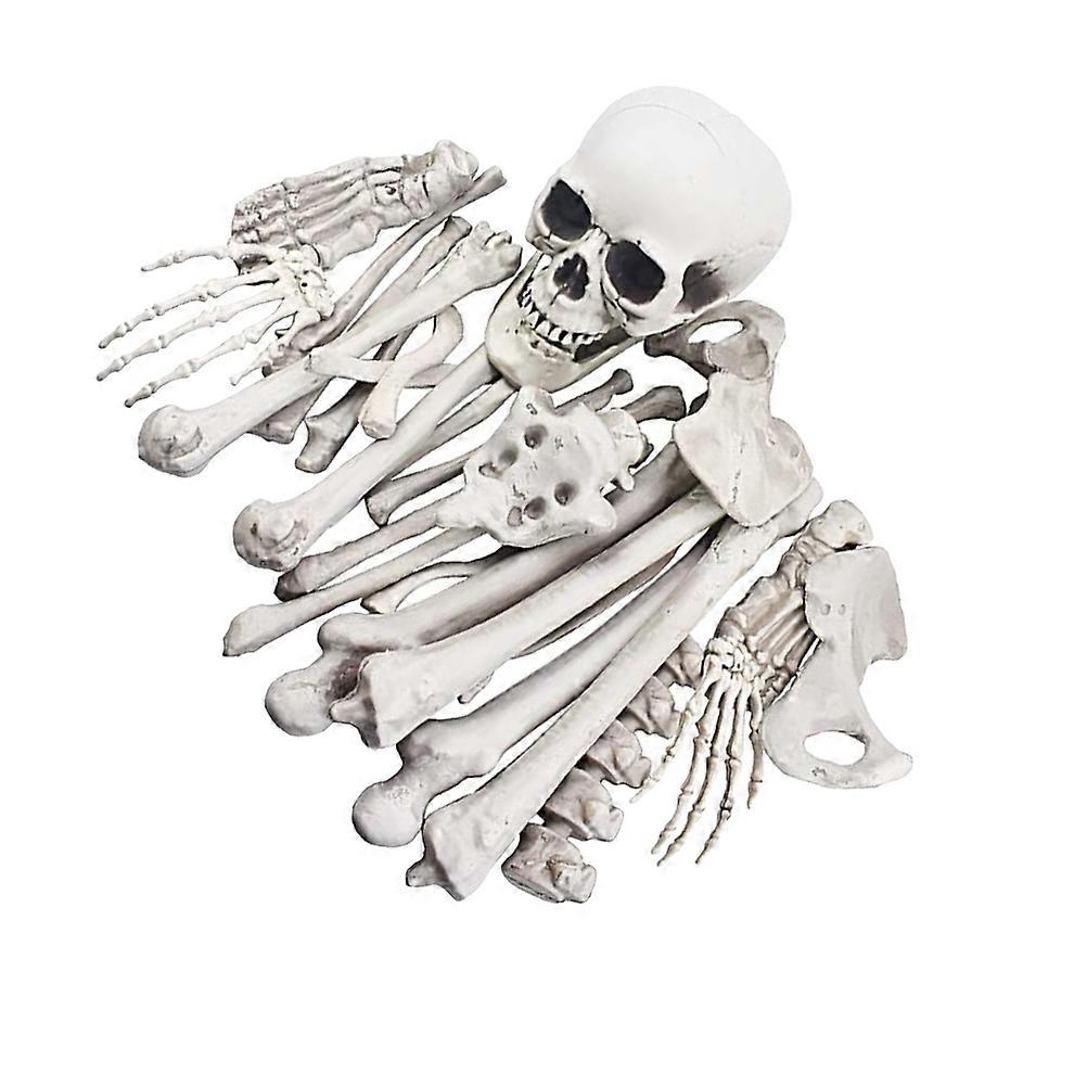 Halloween Skeleton Bones for Spooky Decor 1Pack White Plastic