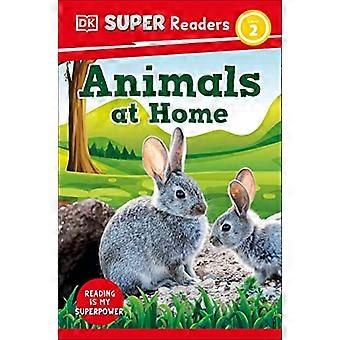 DK Super Readers Tason 2 eläimet kotona (DK Super Readers)