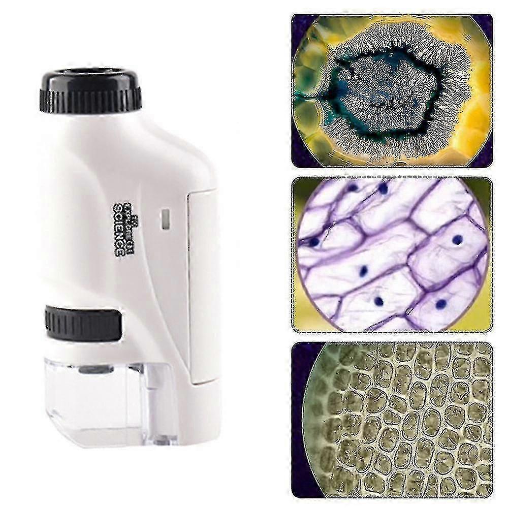 Portable Handheld Pocket Microscope 60-120x LED Light Mini Microscope