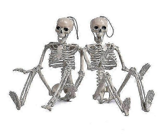 Simulation Human Skeleton 40cm-SHZNV