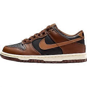 Nike Dunk Low top Skateboard Shoes Brown Black Unisex FB9109-006