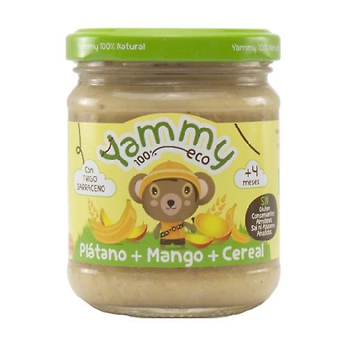 Jar of Mango, Blueberries and Cereal 195 g (Fruits - Mango - Banana)