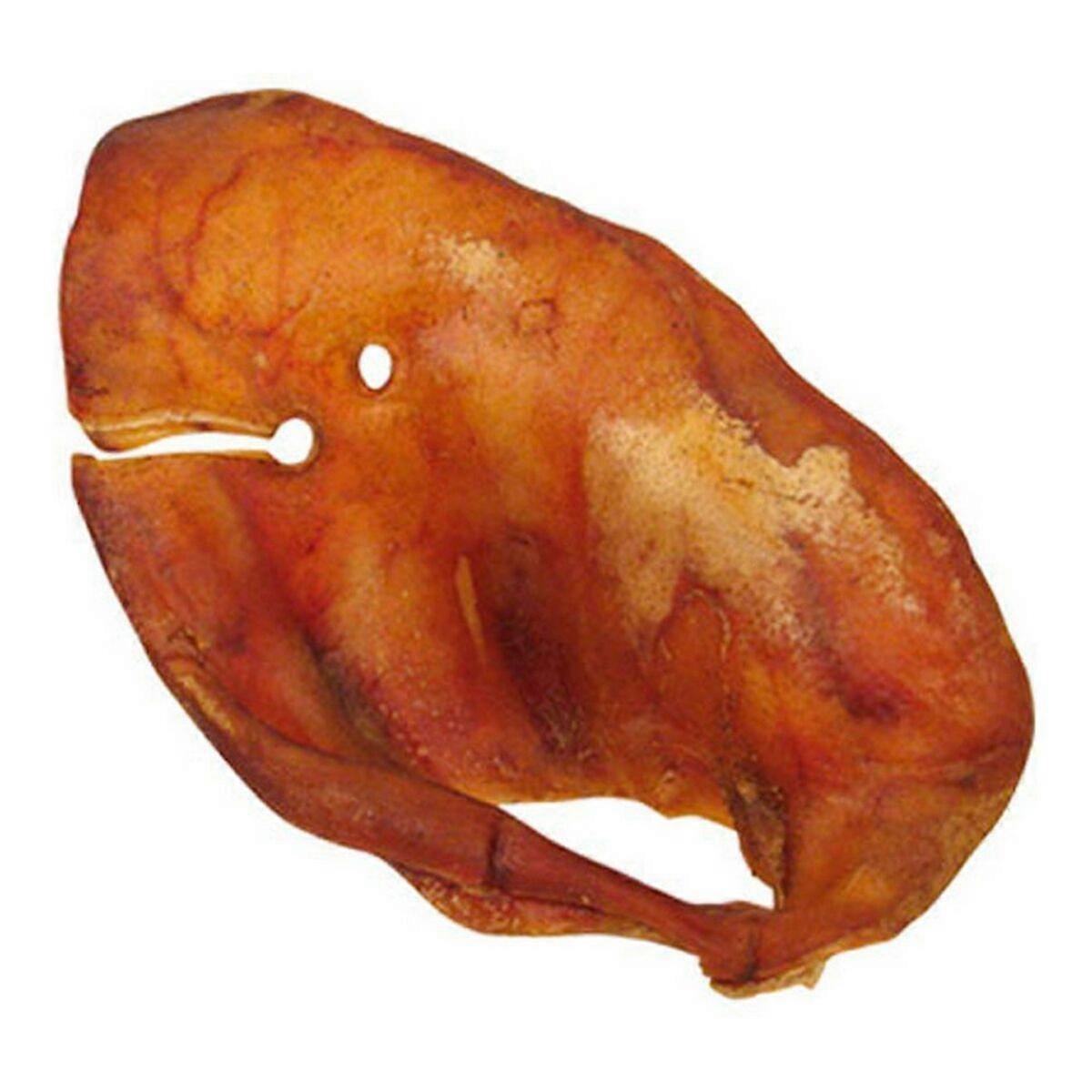 Food Gloria