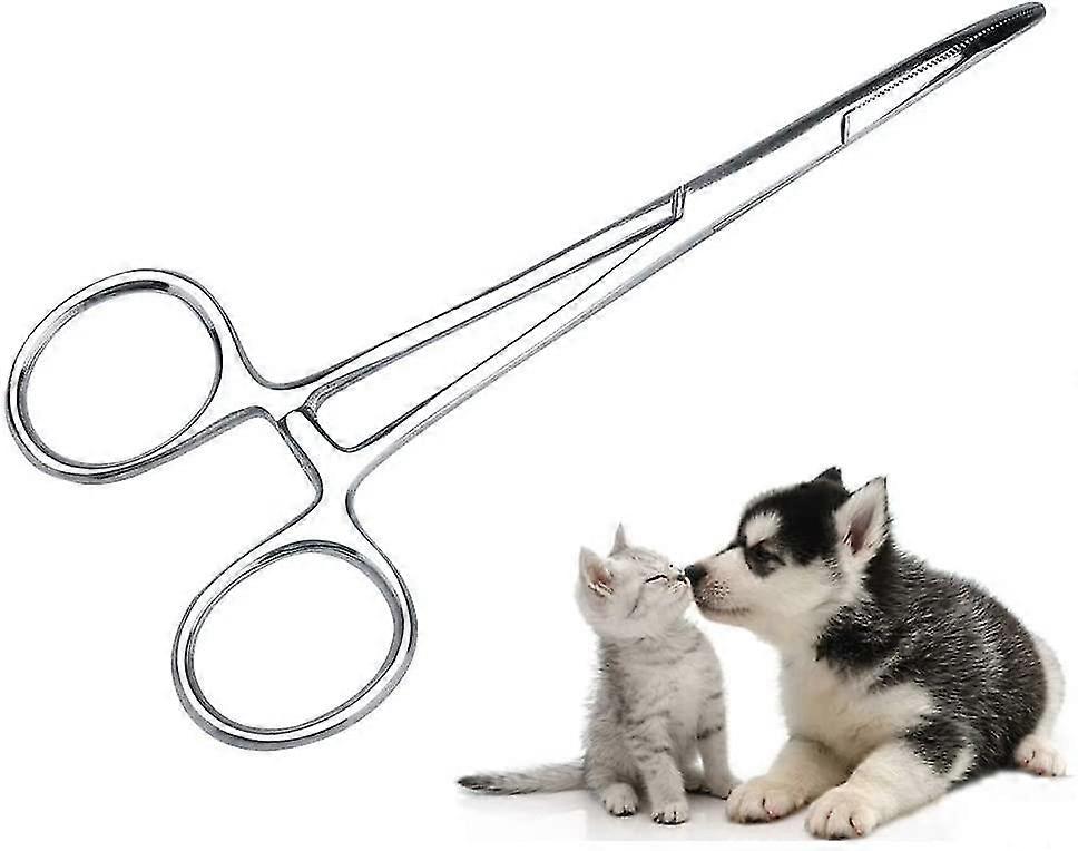 Surgical forceps, Premium - quality, Stainless - steel Instrument for Veterinary Use