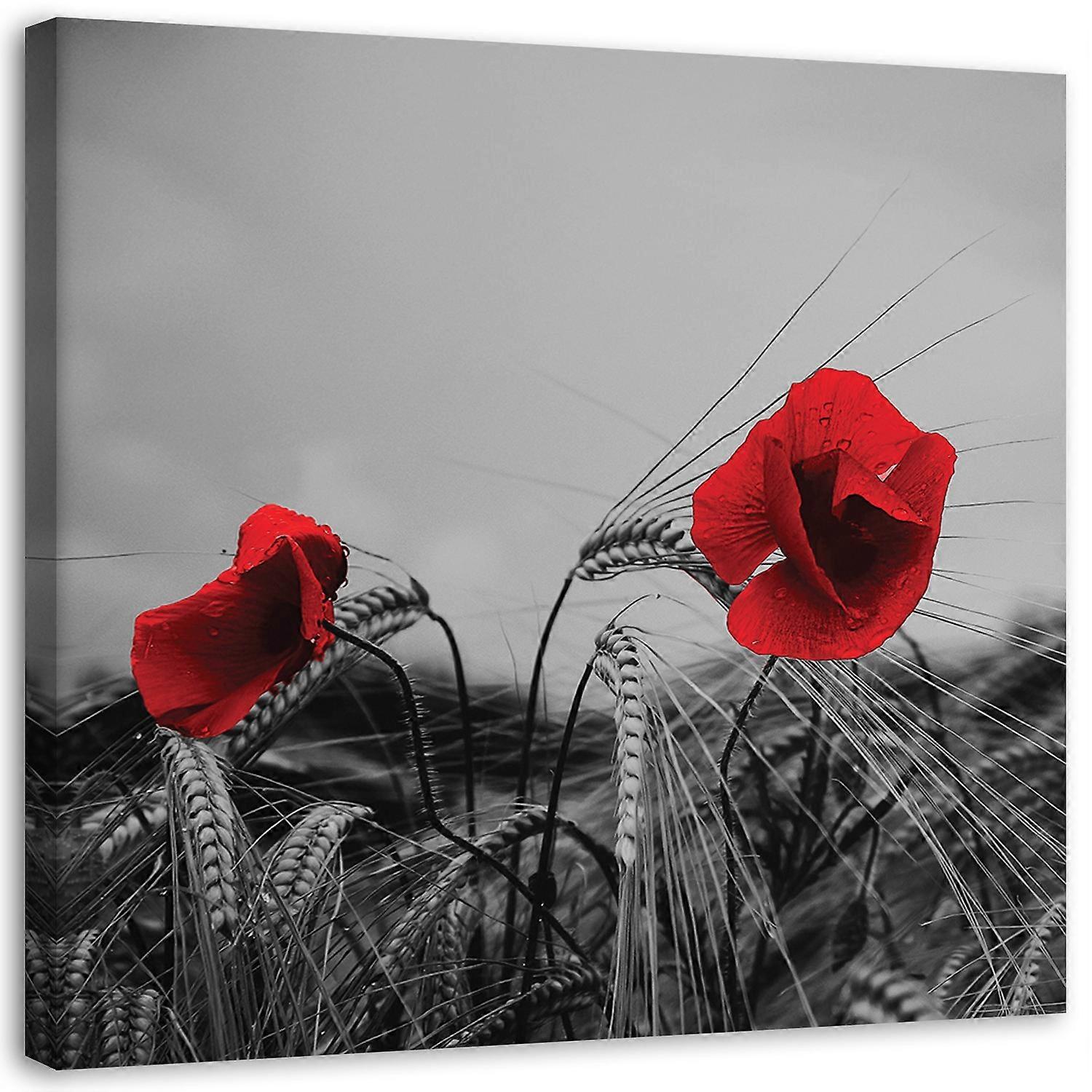 Impression sur toile, Coquelicots rouges et grain - 60x60