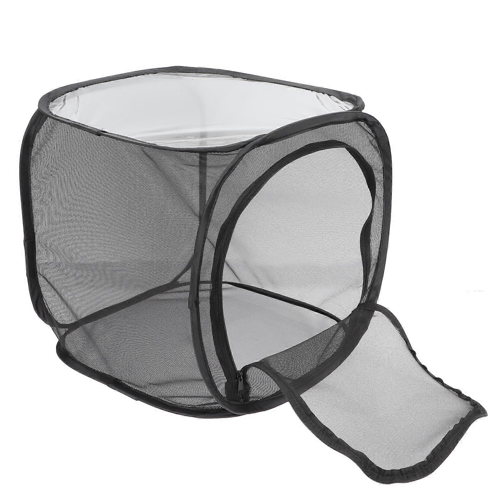 The **Breathable Insect Observation Cage For Outdoor Butterflies – Viewing Cage With Mesh For Exploration And Learning** is a fantastic tool for