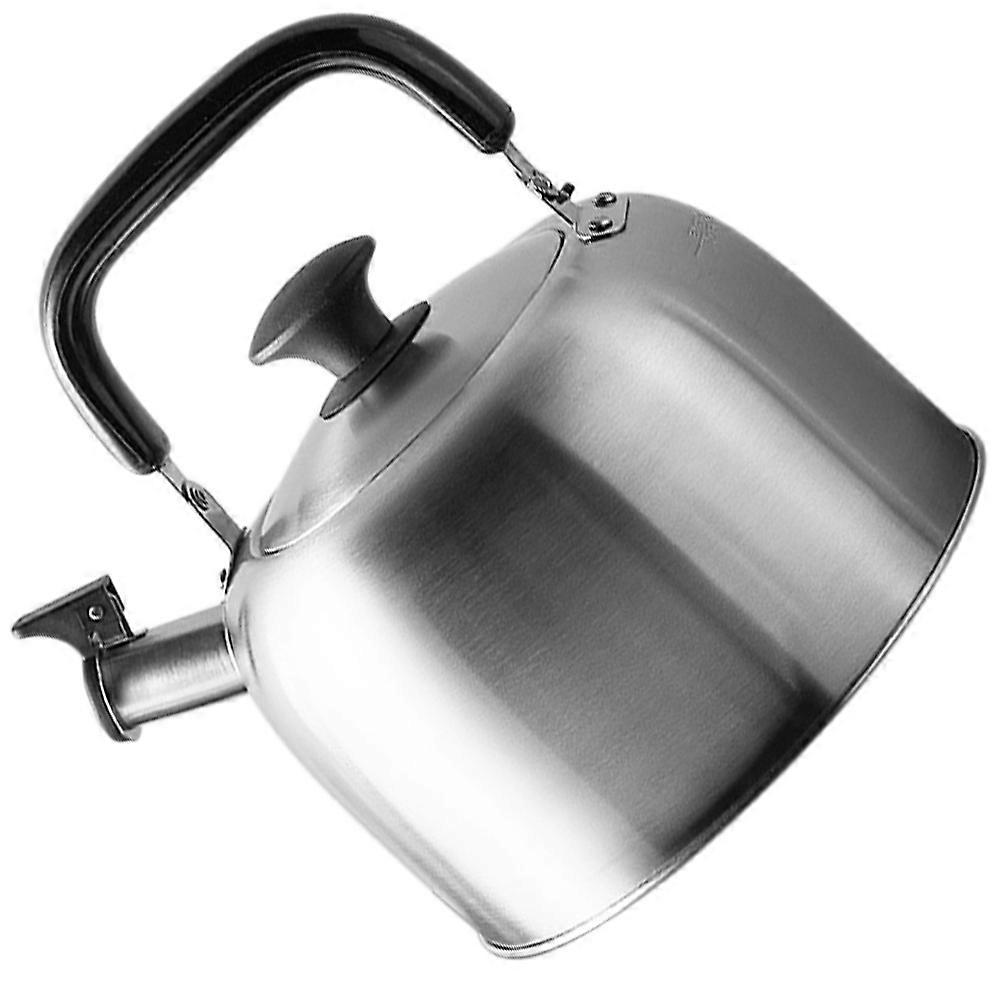 Pot 4.5L Stainless Steel Whistling Teakettle Water Kettle Kitchen Use Round Shape 1Set
