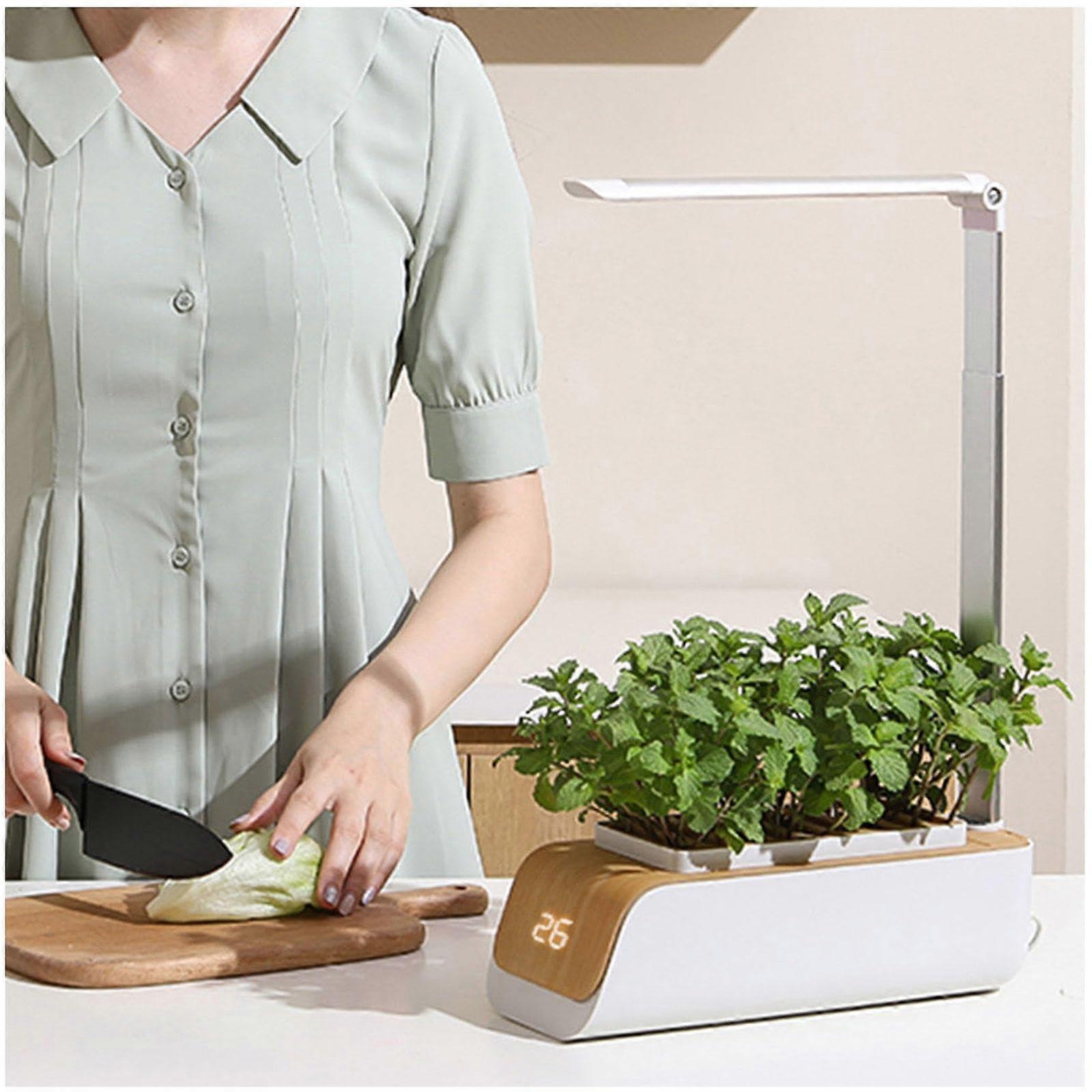 Lettuce Growing Kit Indoor, Suitable for Seedlings/Seeds/Succulents