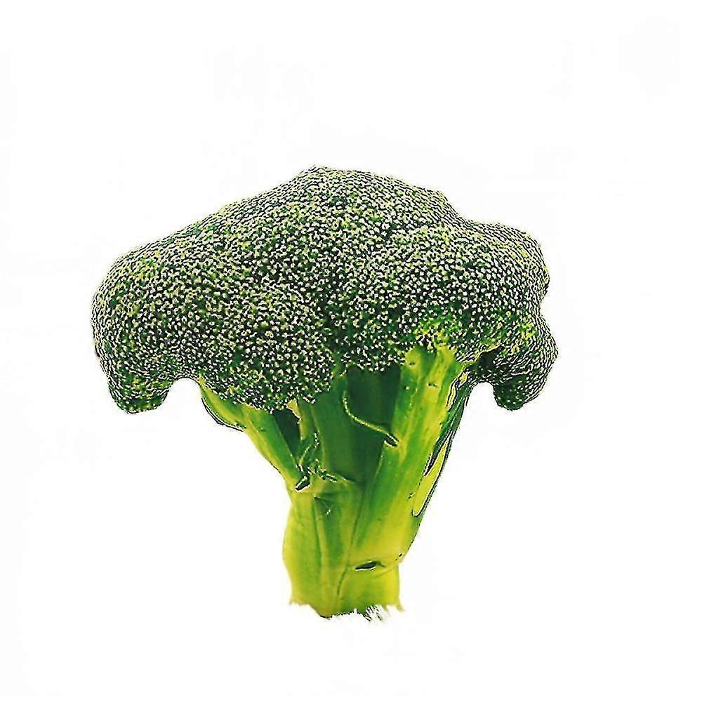 (C)Simulation Vegetable Pillow Potato Onion Plush Toy Broccoli Nap Pillow