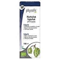 Lupulus Extract (Humulus L.) Bio 100 ml