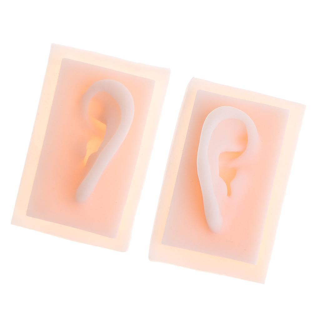 1 Pair 1:1 Lifesize Silicone Human Acupuncture Ear Model  Study Kit