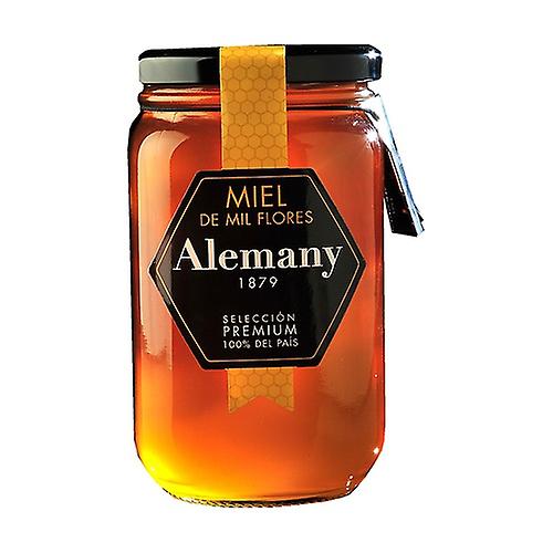 Eco Poliflora Honey 500 g